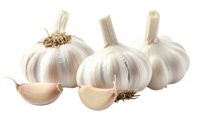 Three fresh garlic bulbs and two cloves, a healthy organic vegetable ingredient for cooking, isolated on a transparent background. Aromatic seasoning for healthy cuisine and food preparation.