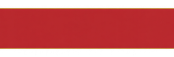 Red rectangle with gold border shape color pattern isolated on a transparent background