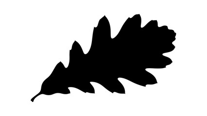 A single, black oak leaf silhouette against a white background. It's a natural form