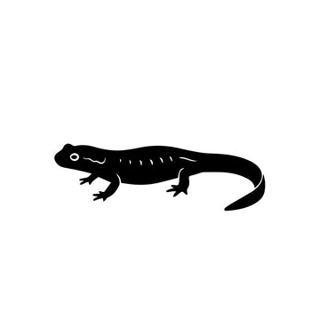 A black silhouette of a newt with its body slightly arched and its tail curved.