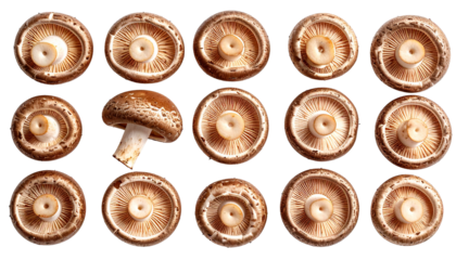 Top view of a pattern of cremini mushrooms with gills showing, with one whole mushroom breaking the pattern. Isolated on a transparent background for easy use in designs and cooking concepts.