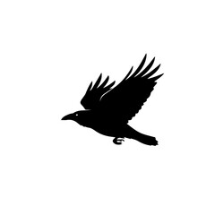Obraz premium A black silhouette of a crow or raven in flight with wings spread against a white background, captured in a dynamic pose.