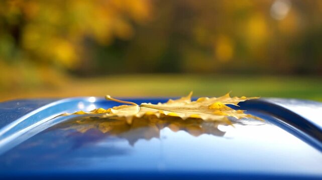Autumn Leaf on Blue: A single, golden maple leaf rests gracefully atop a blue surface, perfectly capturing the essence of fall against a blurred backdrop of autumnal hues.