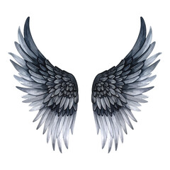 Fototapeta premium Pair of Watercolor Angel Wings in Shades of Gray and Black with illutrastion transparent background