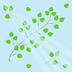 A birch branch in spring with fresh green leaves on a blue background with sun rays