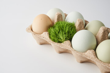 farmer's organic eggs. easter vibe
