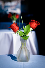 Pair of red roses on a table