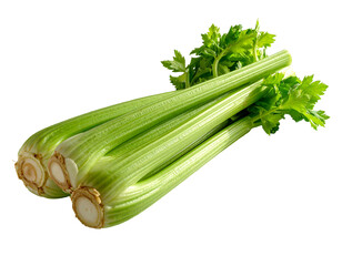 Obraz premium Fresh, green celery stalks with leafy tops against a black background