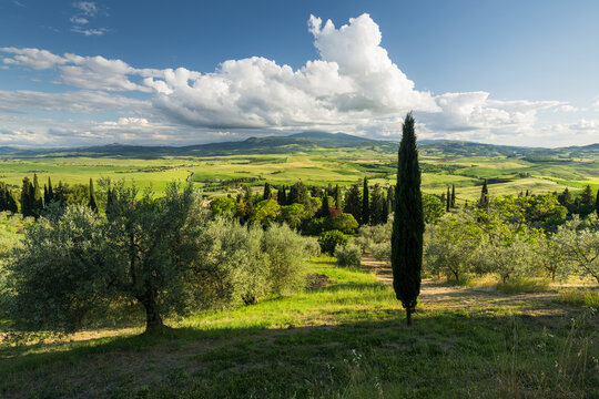Blick von Pienza ins Val d'Orcia, Monte Amiata, Toskana, Italien