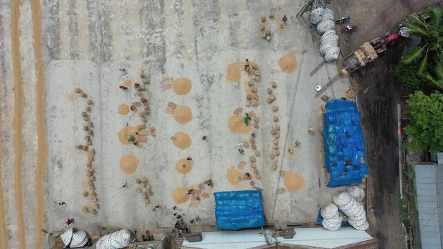 Workers meticulously spread rice grains under the sun to dry, creating a beautiful patchwork of gold and stone