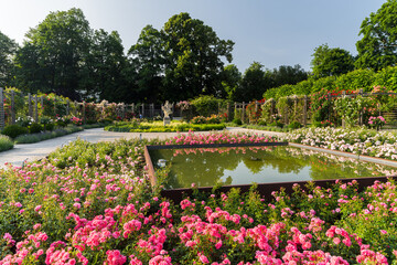 Hende Rosen Doblhoffpark Baden Bei