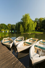 Obraz premium Ruderboote, Doblhoffpark, Baden bei Wien, Thermenregion, Niederösterreich, Österreich