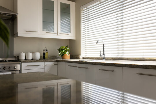 Kitchen countertop and sink area is reflecting blinds light in kitchen, with faucet, plant, range