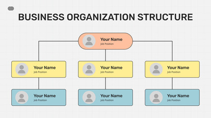 Business Organization Structure