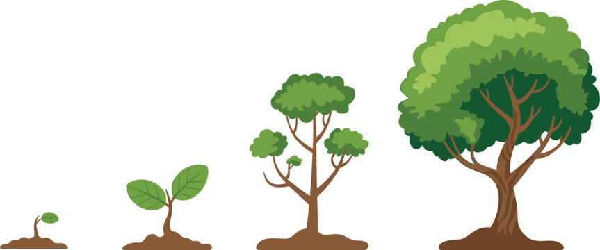 Cartoon tree growth stages icon set with sprout, leafy stem, young tree, and mature canopy rooted in soil.