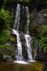 waterfall in the forest