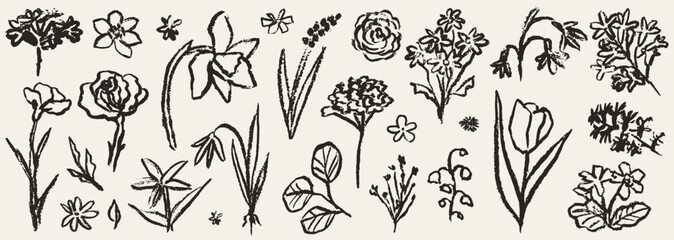 Grunge minimal charcoal or chalk spring summer flower collection. Vector illustration of ink hand drawn wild herbs set. Wax crayon drawing style. Floral silhouette elements for scrapbooking design.