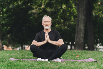 Fototapeta premium Senior bearded man meditating in a park outdoors during a calm morning yoga session for wellness and mindful fitness