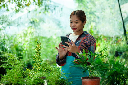 Woman Using Smart phone in Greenhouse