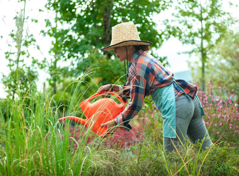 Woman Watering Plants in a Garden