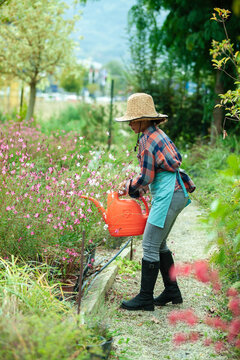 Woman Watering Plants in a Garden