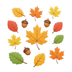 Colorful autumn leaves and acorns illustration
