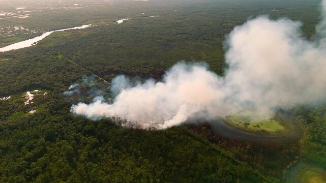 Scorching flames devour Florida forest vegetation during drought season, producing dense smoke and widespread fire damage.