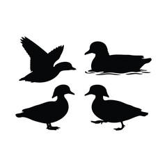 Fototapeta premium Set of mandarin duck silhouette vector flat illustration design.