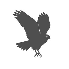 Fototapeta premium silhouette of a Peregrine Falcon without background