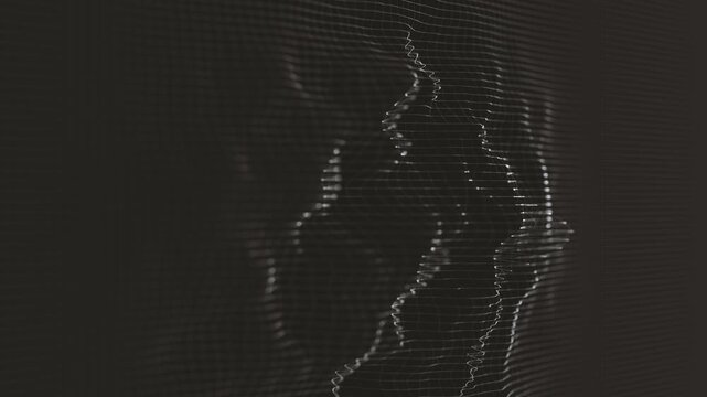 Digital Mesh Technology Fractal Looping Background
Abstract background of a black and white digital mesh with fractal surface waving