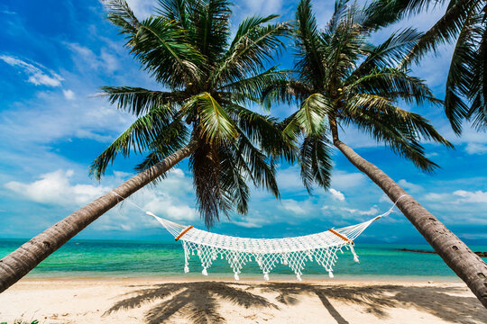 A white wicker hammock strung between palm trees against the backdrop of the sea on the coast of a tropical island