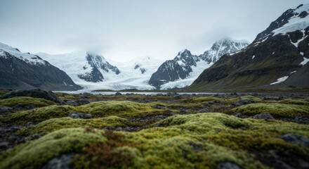 Rugged landscape with mossy foreground and snowy mountains under a cloudy sky