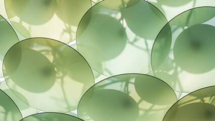 Abstract Floral Pattern: Captivating view showcasing delicate translucent green leaves, a harmonious display of light and shadow, evoking a sense of calm and natural beauty.