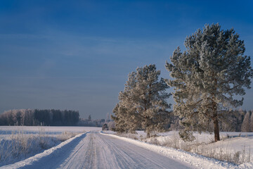 road in the snow © talavietis