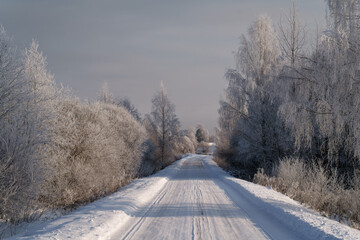 road in winter © talavietis