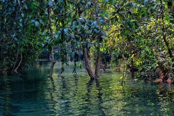 Laos. Luang Prabang. Kuang Si Waterfalls. Travel and tourism in Asia