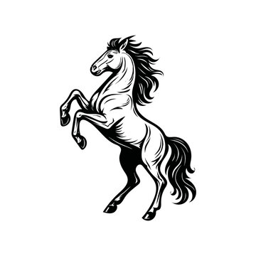 Majestic rearing horse black and white vector illustration for powerful design