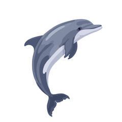 Obraz premium The Dolphin Design Very Cool 