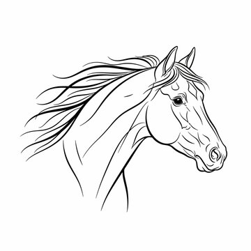 Minimalist Line Art Collection &ndash; Nature & Emotion