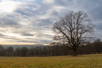 Obraz premium Blick auf den Valtenberg von Weifa in der Oberlausitz aus