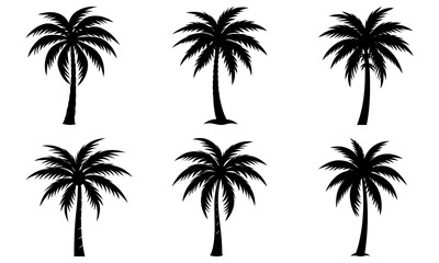 Fototapeta premium Six Black Palm Tree Silhouettes on White Background tropical
