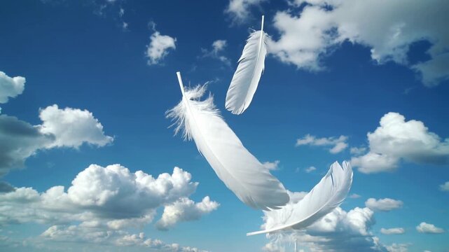 Beautiful white feathers slowly falling from the sky with blue sky and white puffy cloud background, purity and innocence abstract concept on a bright sunny day