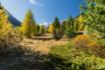 Morteratschtal, Graubünden, Schweiz © Rainer Mirau