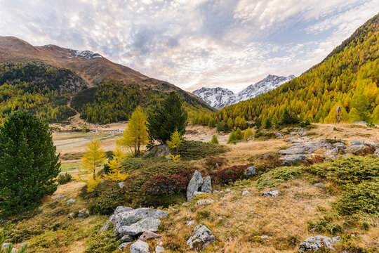 Piz Paradisin, Alpe Vago, Livigno, Lombardei, Italien