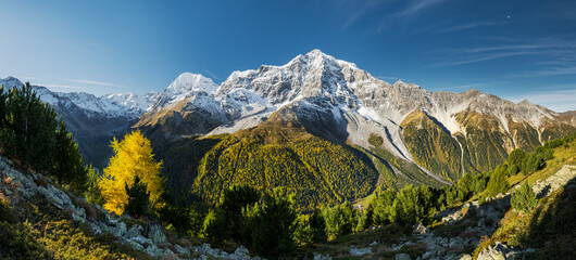 Fototapeta premium Königspitze, Ortler, Suldental, Sulden, Nationalpark Stilfser Joch, Trentino - Alto Adige, Italien