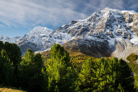 K&ouml;nigspitze, Ortler, Suldental, Sulden, Nationalpark Stilfser Joch, Trentino - Alto Adige, Italien