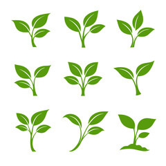Minimal green seedling and sprout icons set with various leaf shapes, isolated on white background. Concept of growth, ecology, organic farming and sustainability.