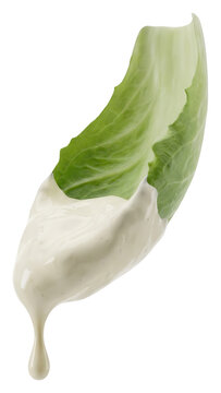 Lettuce Leaf Dipped in Ranch Dressing on White