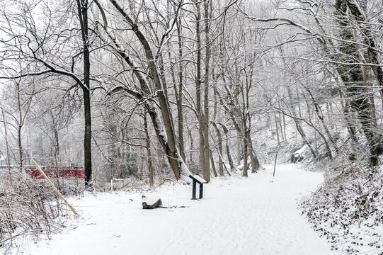 Along Cynwyd Trail in Lower Merion