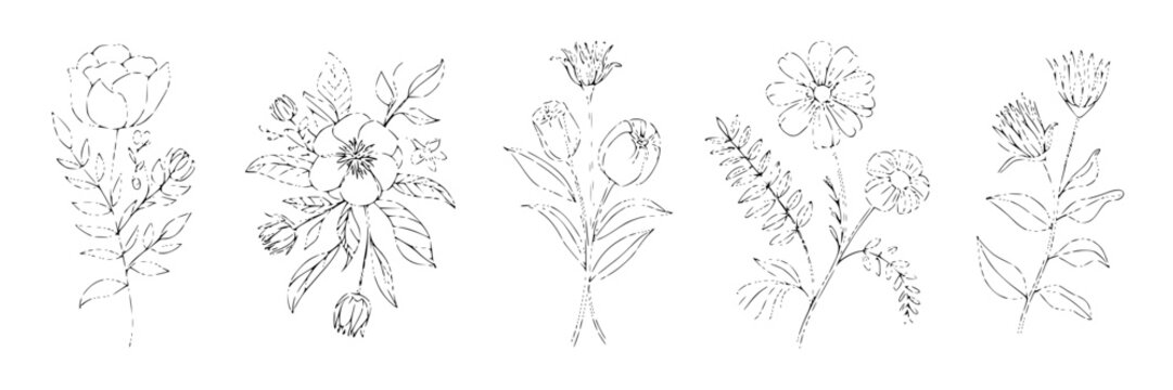 Elegant hand-drawn line art floral collection featuring five unique bouquets with botanical elements and delicate outlines on a white background